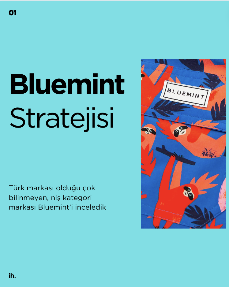 Bluemint Stratejisi